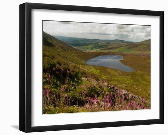 Nire Valley from the Comeragh Mountains, County Waterford, Ireland-null-Framed Photographic Print