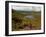 Nire Valley from the Comeragh Mountains, County Waterford, Ireland-null-Framed Photographic Print