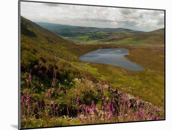 Nire Valley from the Comeragh Mountains, County Waterford, Ireland-null-Mounted Photographic Print