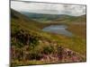 Nire Valley from the Comeragh Mountains, County Waterford, Ireland-null-Mounted Photographic Print