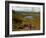 Nire Valley from the Comeragh Mountains, County Waterford, Ireland-null-Framed Photographic Print