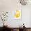 Nirvana: A Yellow Flower Becomes a Yellow Wind-Masaho Miyashima-Framed Giclee Print displayed on a wall