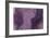 Nirvana: And, a Purple Flower Grows in the Brown Earth-Masaho Miyashima-Framed Giclee Print