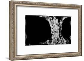 NIRVANA?Existence Appears Little by Little-Masaho Miyashima-Framed Giclee Print