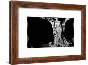 NIRVANA?Existence Appears Little by Little-Masaho Miyashima-Framed Giclee Print