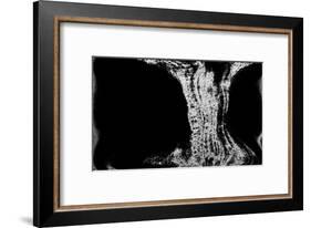 NIRVANA?Existence Appears Little by Little-Masaho Miyashima-Framed Giclee Print