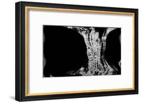 NIRVANA?Existence Appears Little by Little-Masaho Miyashima-Framed Giclee Print