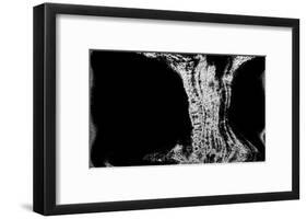 NIRVANA?Existence Appears Little by Little-Masaho Miyashima-Framed Giclee Print