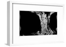 NIRVANA?Existence Appears Little by Little-Masaho Miyashima-Framed Giclee Print
