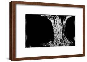 NIRVANA?Existence Appears Little by Little-Masaho Miyashima-Framed Giclee Print