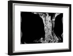 NIRVANA?Existence Appears Little by Little-Masaho Miyashima-Framed Giclee Print