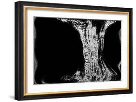NIRVANA?Existence Appears Little by Little-Masaho Miyashima-Framed Giclee Print