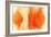 NIRVANA?Exploding Mandarin Orange-Masaho Miyashima-Framed Giclee Print