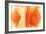 NIRVANA?Exploding Mandarin Orange-Masaho Miyashima-Framed Giclee Print