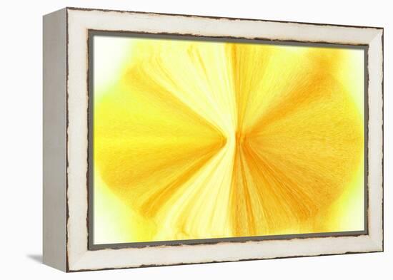 NIRVANA?Golden Violet-Masaho Miyashima-Framed Premier Image Canvas