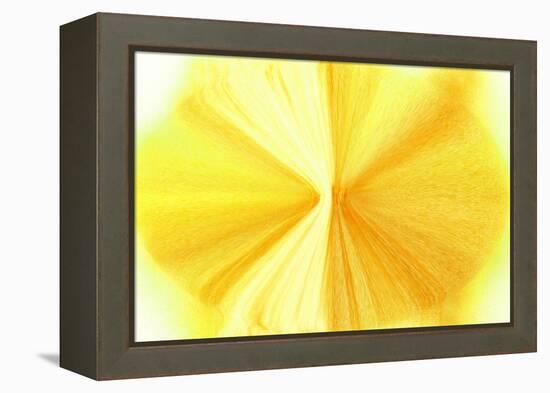 NIRVANA?Golden Violet-Masaho Miyashima-Framed Premier Image Canvas