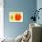 NIRVANA?Melting Mandarin Orange-Masaho Miyashima-Framed Giclee Print displayed on a wall