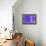 NIRVANA?Purple Wave-Masaho Miyashima-Framed Premier Image Canvas displayed on a wall