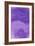 Nirvana: The Lavender Flower Blooms in Spring-Masaho Miyashima-Framed Giclee Print