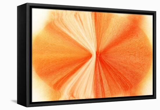 NIRVANA?Violet of Orange-Masaho Miyashima-Framed Premier Image Canvas