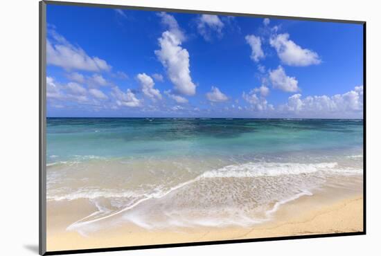 Nisbet Beach, turquoise sea, Nevis, St. Kitts and Nevis, Central America-Eleanor Scriven-Mounted Photographic Print