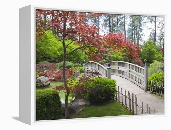 Nishinomiya Japanese Garden, Manito Park, Spokane, Washington, Usa-Jamie & Judy Wild-Framed Premier Image Canvas