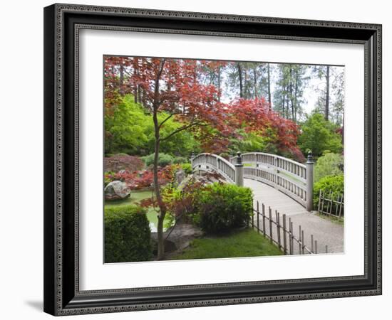 Nishinomiya Japanese Garden, Manito Park, Spokane, Washington, Usa-Jamie & Judy Wild-Framed Photographic Print