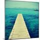 Premium Photographic Print