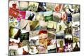 Photographic Print