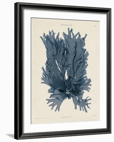 Nitophyllum Punctatum-Henry Bradbury-Framed Giclee Print