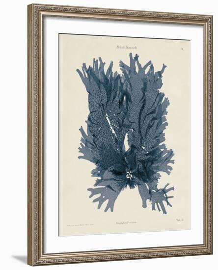 Nitophyllum Punctatum-Henry Bradbury-Framed Giclee Print