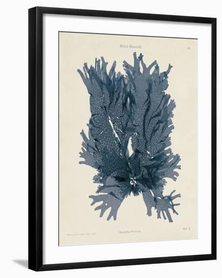 Nitophyllum Punctatum-Henry Bradbury-Framed Giclee Print
