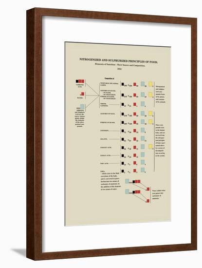 Nitrogenized and Sulphurized Principles of Food-Edward L. Youmans-Framed Art Print