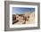 Nizwa Fort, Oman, Middle East-Sergio Pitamitz-Framed Photographic Print