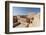 Nizwa Fort, Oman, Middle East-Sergio Pitamitz-Framed Photographic Print