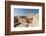 Nizwa Fort, Oman, Middle East-Sergio Pitamitz-Framed Photographic Print