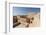 Nizwa Fort, Oman, Middle East-Sergio Pitamitz-Framed Photographic Print