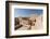 Nizwa Fort, Oman, Middle East-Sergio Pitamitz-Framed Photographic Print