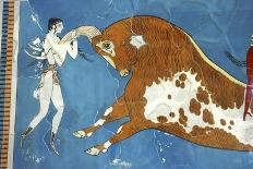 The 'Blue Bird' fresco from the House of the Frescoes, Knossos, Crete, Minoan, c1550 BC-NJ Saunders-Photographic Print