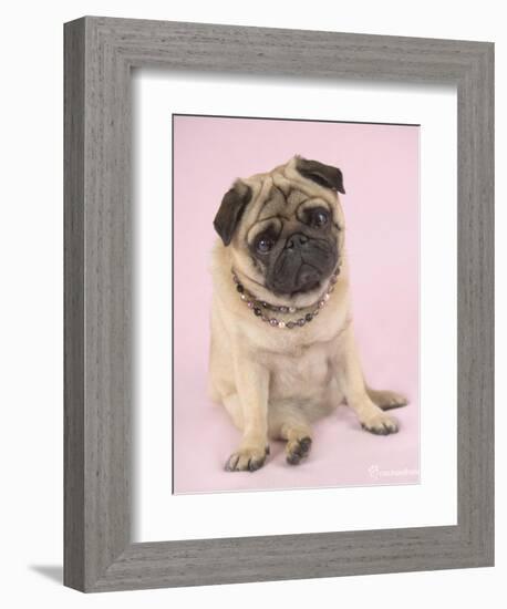 Nmilo-Rachael Hale-Framed Premium Giclee Print