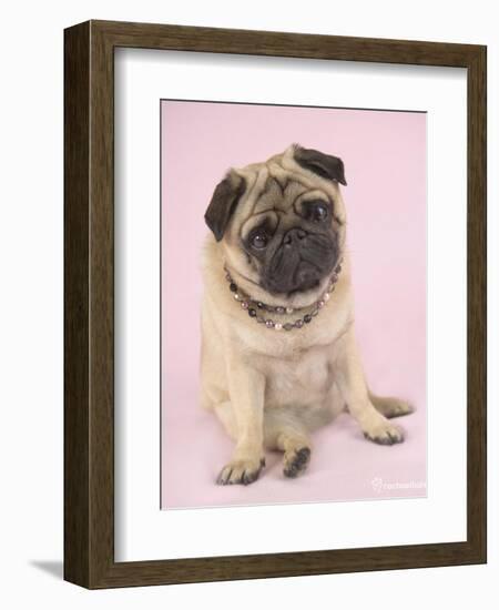 Nmilo-Rachael Hale-Framed Premium Giclee Print