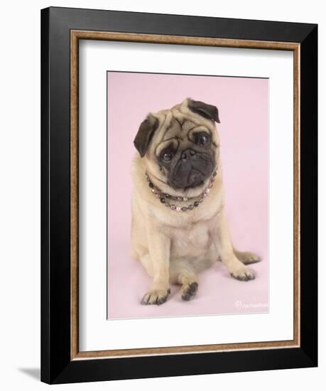 Nmilo-Rachael Hale-Framed Premium Giclee Print