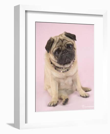 Nmilo-Rachael Hale-Framed Premium Giclee Print