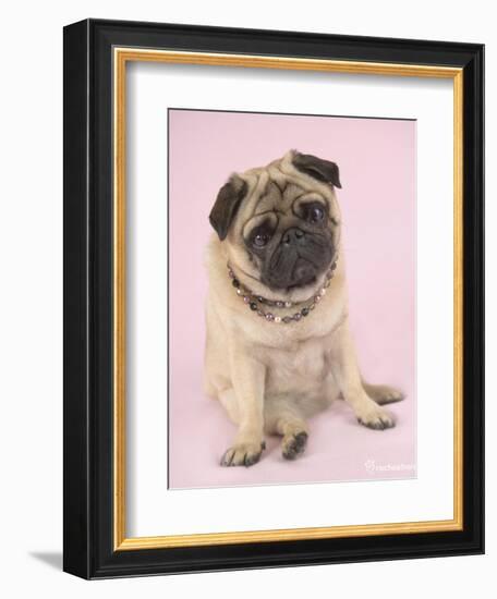 Nmilo-Rachael Hale-Framed Premium Giclee Print