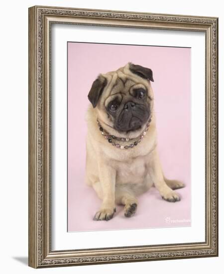 Nmilo-Rachael Hale-Framed Art Print