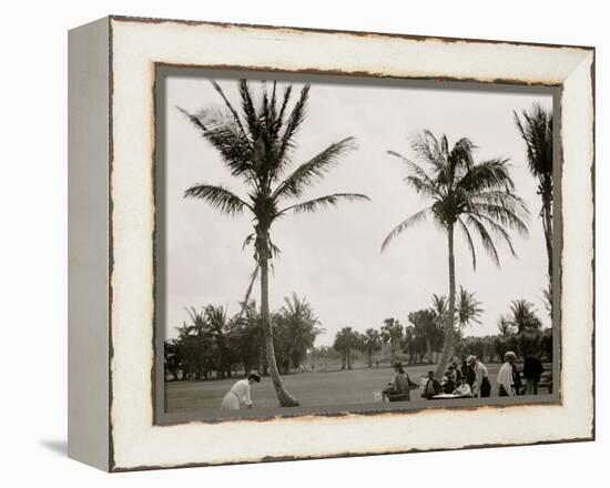 No. 1 Tee, Golf Links, Palm Beach, Fla.-null-Framed Stretched Canvas