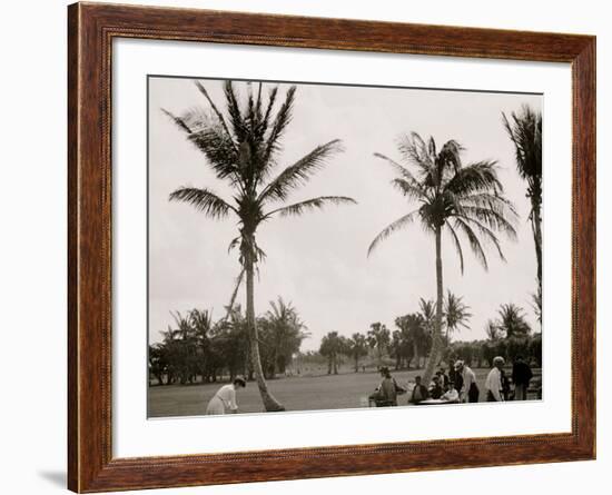 No. 1 Tee, Golf Links, Palm Beach, Fla.-null-Framed Photo
