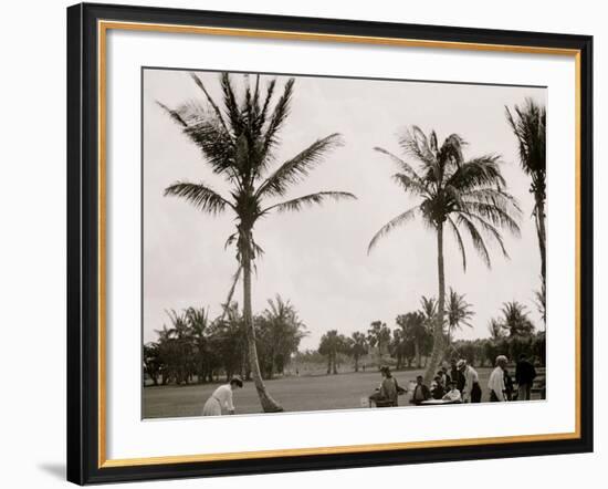 No. 1 Tee, Golf Links, Palm Beach, Fla.-null-Framed Photo