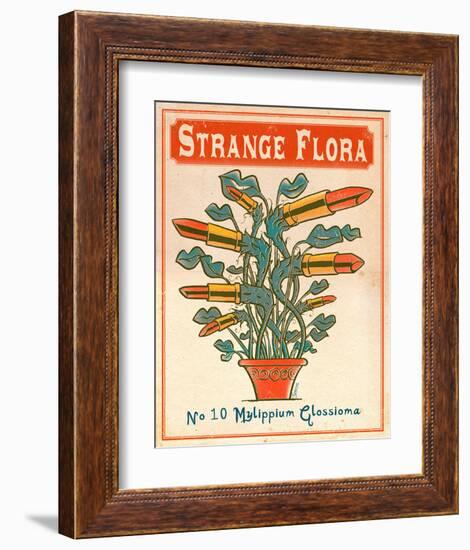 No.10 Mylippium Glossioma-Phil Garner-Framed Art Print