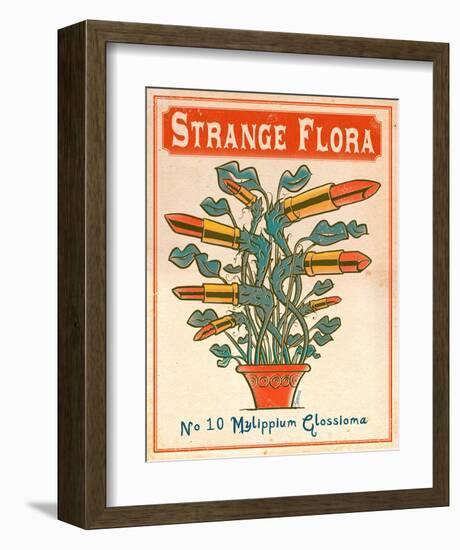 No.10 Mylippium Glossioma-Phil Garner-Framed Art Print